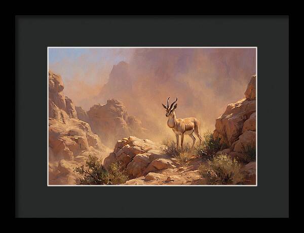 Goitered Gazelle In Desert Serenity