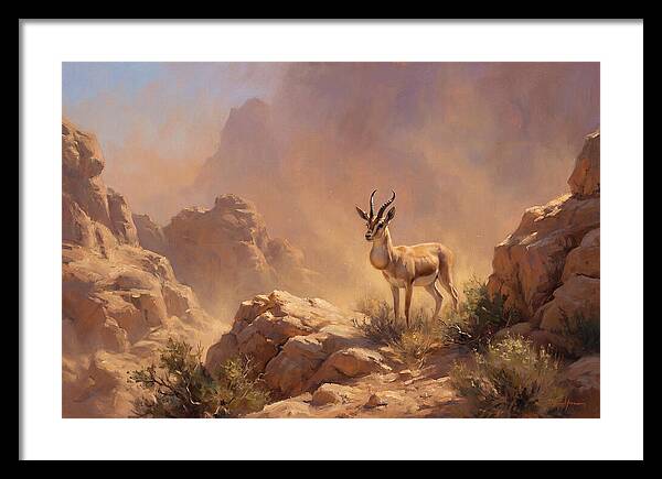 Goitered Gazelle In Desert Serenity