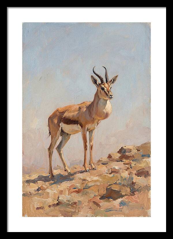 Goitered Gazelle In Natural Habitat