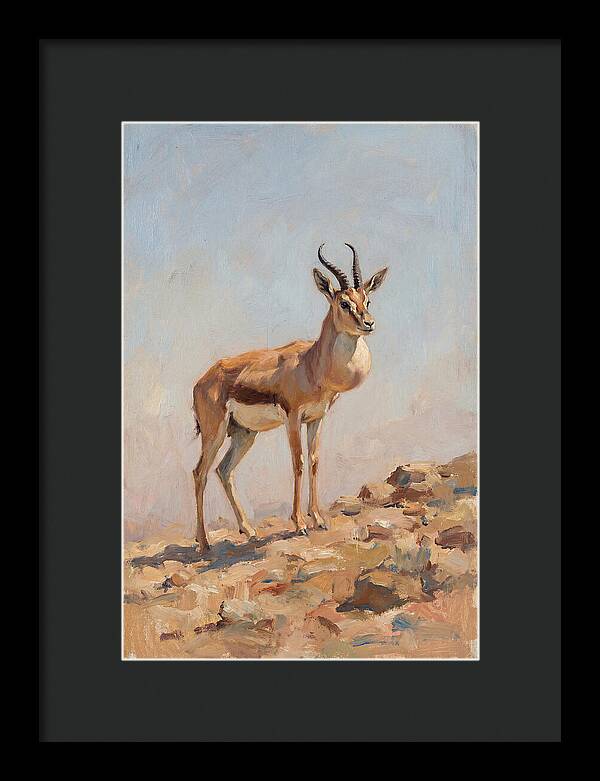 Goitered Gazelle In Natural Habitat