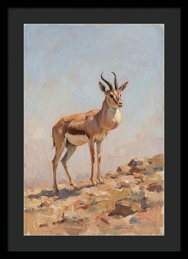 Goitered Gazelle In Natural Habitat