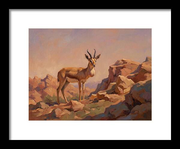 Goitered Gazelle In The Mediterranean Landscape