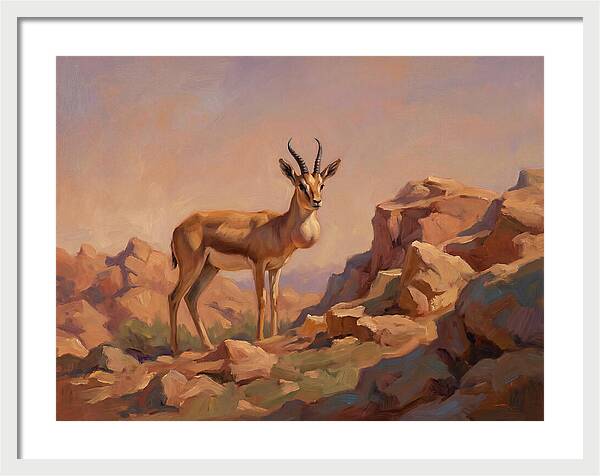 Goitered Gazelle In The Mediterranean Landscape