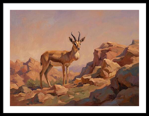 Goitered Gazelle In The Mediterranean Landscape