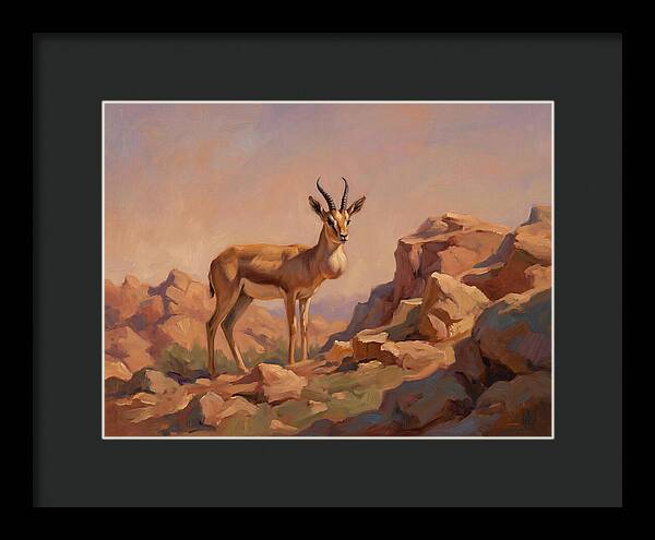 Goitered Gazelle In The Mediterranean Landscape