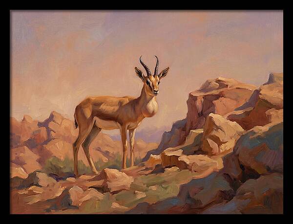 Goitered Gazelle In The Mediterranean Landscape