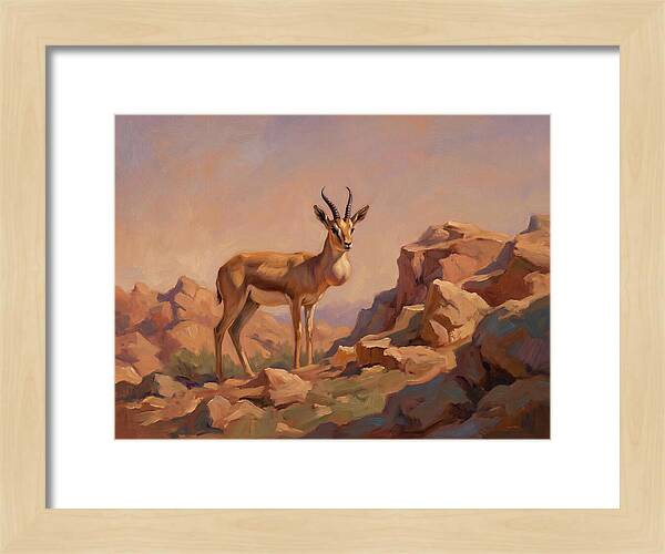 Goitered Gazelle In The Mediterranean Landscape
