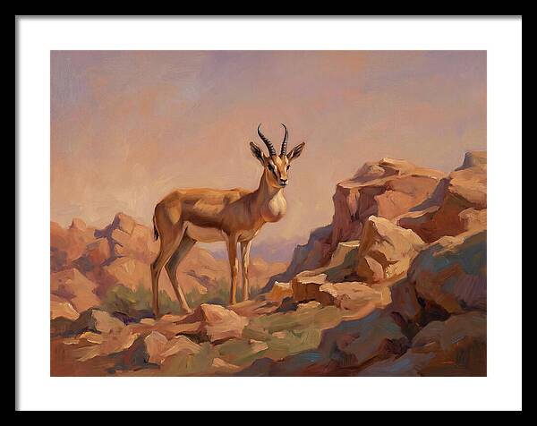 Goitered Gazelle In The Mediterranean Landscape