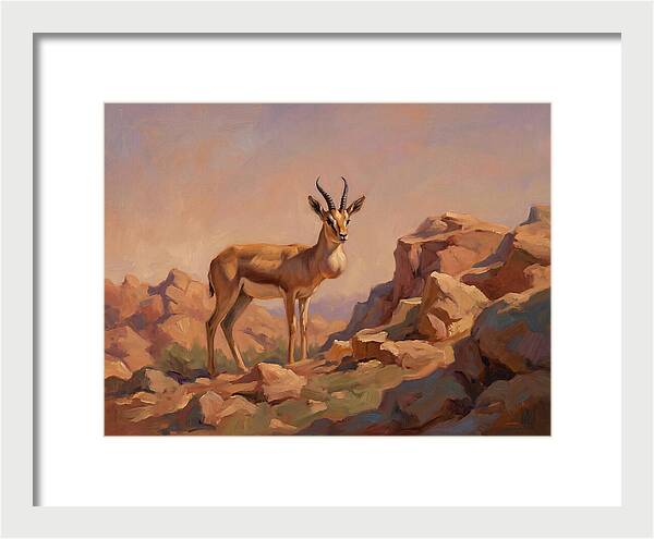 Goitered Gazelle In The Mediterranean Landscape
