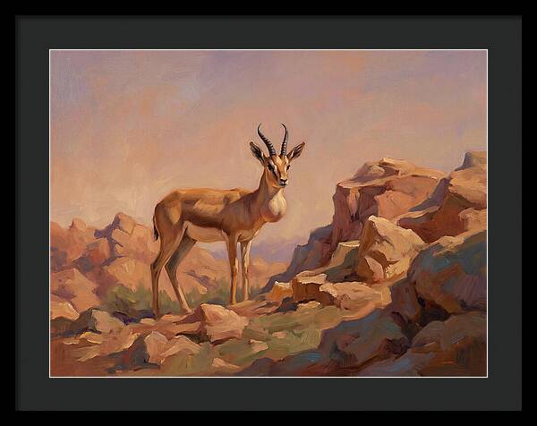 Goitered Gazelle In The Mediterranean Landscape