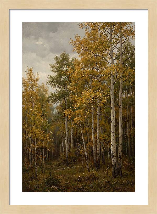 Golden Aspens Under Autumn Skies