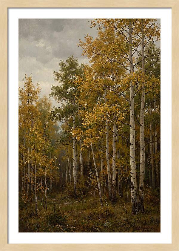 Golden Aspens Under Autumn Skies