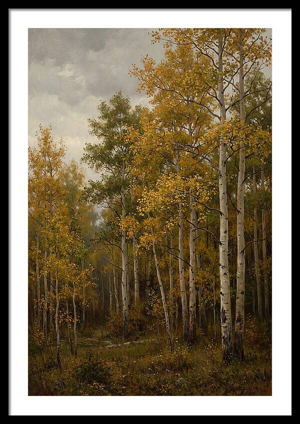 Golden Aspens Under Autumn Skies