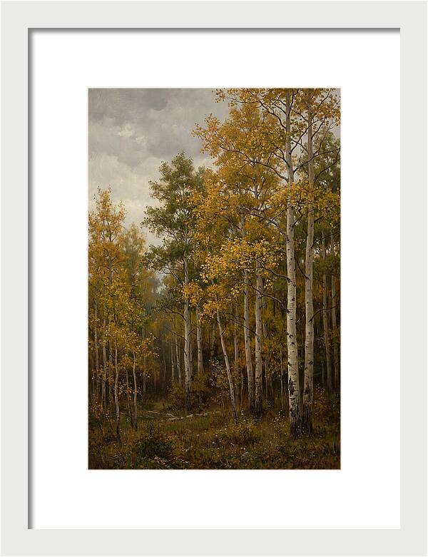 Golden Aspens Under Autumn Skies