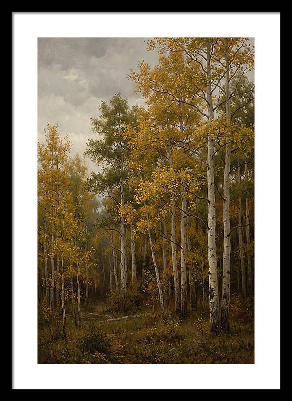 Golden Aspens Under Autumn Skies