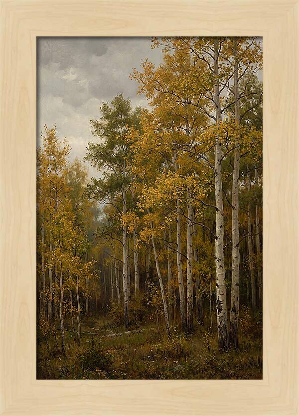 Golden Aspens Under Autumn Skies