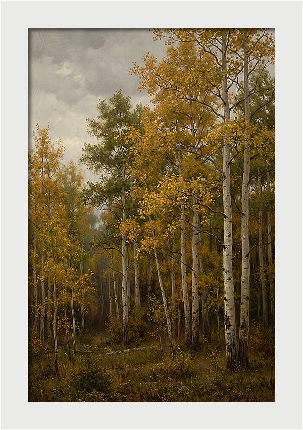 Golden Aspens Under Autumn Skies