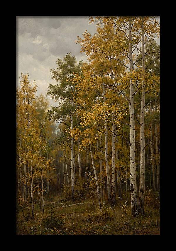 Golden Aspens Under Autumn Skies
