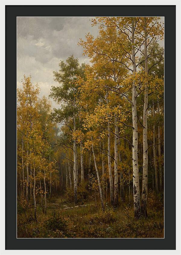 Golden Aspens Under Autumn Skies