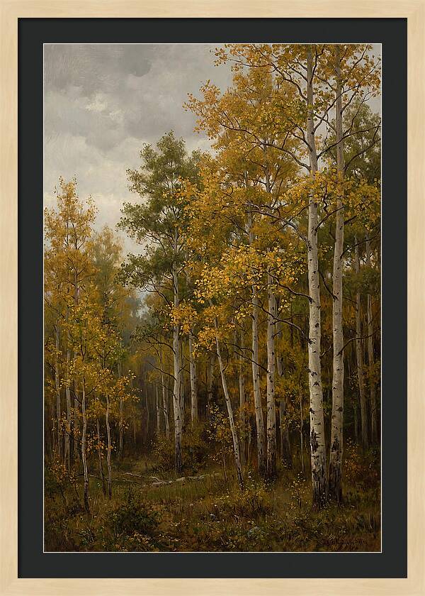 Golden Aspens Under Autumn Skies