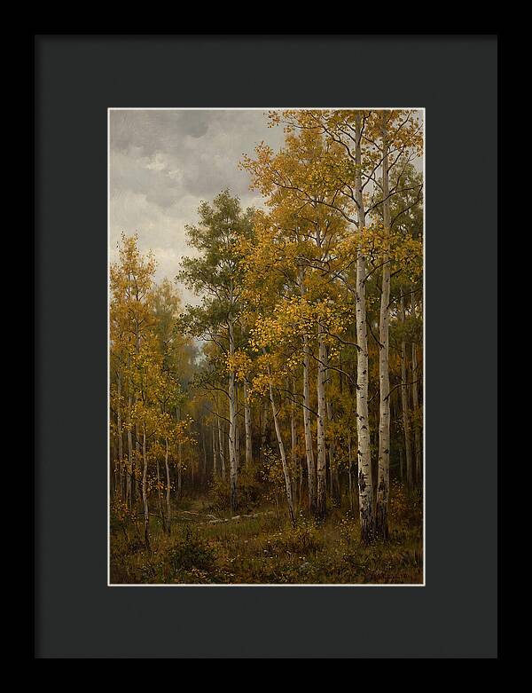 Golden Aspens Under Autumn Skies