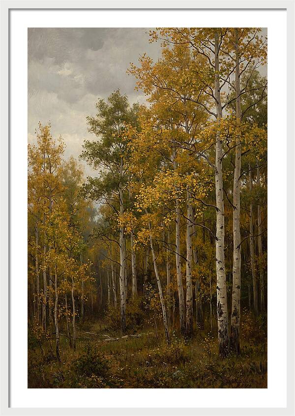 Golden Aspens Under Autumn Skies