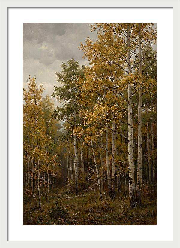Golden Aspens Under Autumn Skies