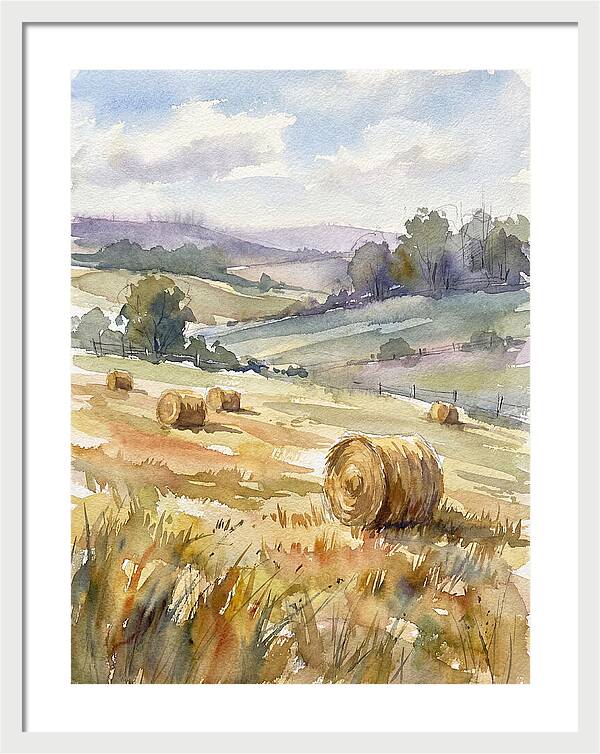 Golden Bales Under Open Skies