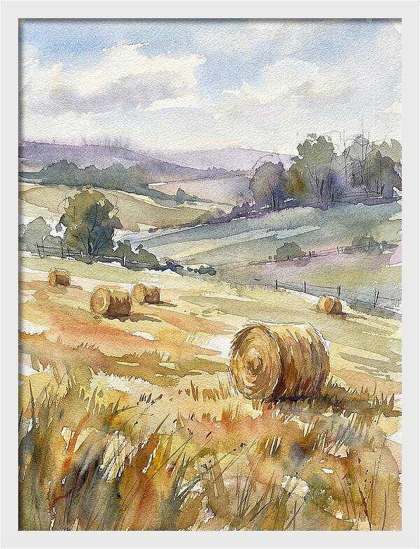 Golden Bales Under Open Skies