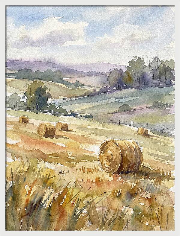 Golden Bales Under Open Skies