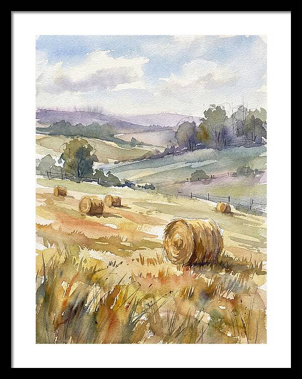 Golden Bales Under Open Skies