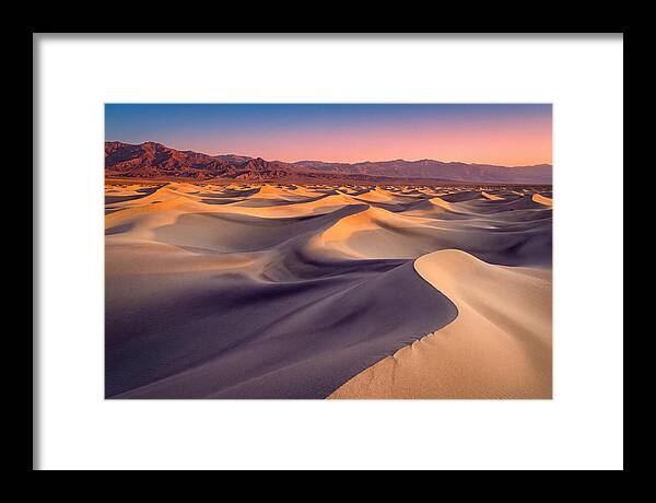 Golden Dawn Over Mesquite Dunes