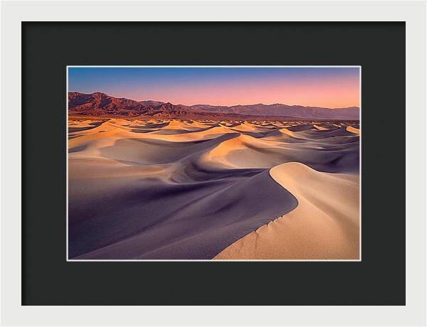 Golden Dawn Over Mesquite Dunes