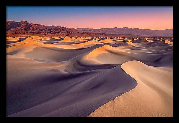 Golden Dawn Over Mesquite Dunes