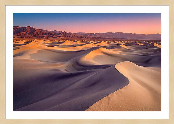 Golden Dawn Over Mesquite Dunes