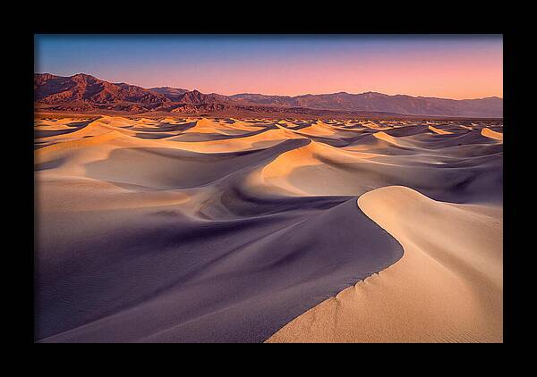 Golden Dawn Over Mesquite Dunes