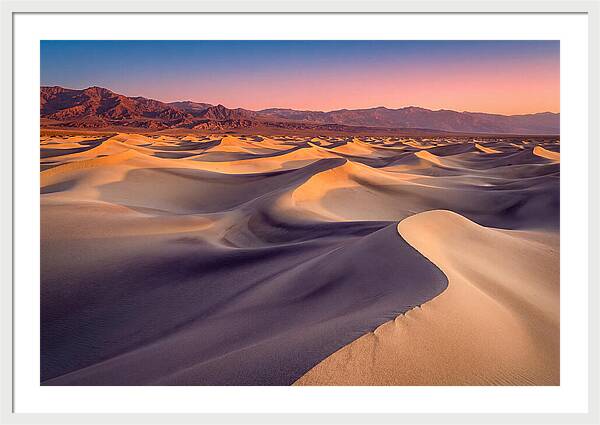 Golden Dawn Over Mesquite Dunes