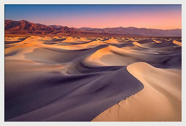 Golden Dawn Over Mesquite Dunes