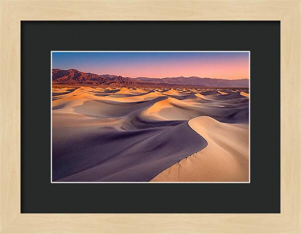 Golden Dawn Over Mesquite Dunes