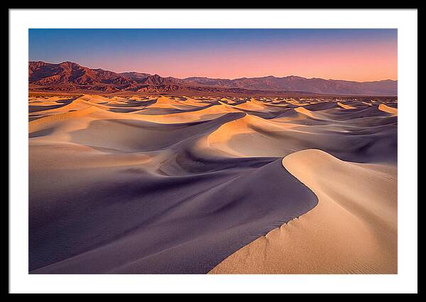 Golden Dawn Over Mesquite Dunes