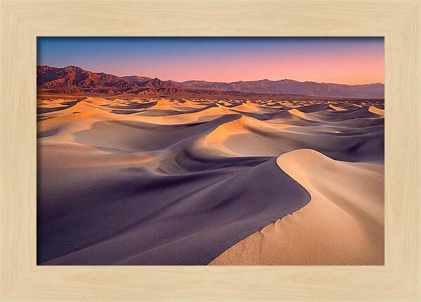 Golden Dawn Over Mesquite Dunes
