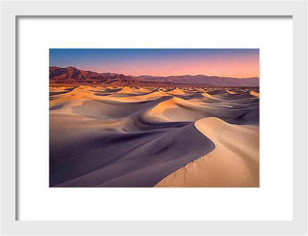 Golden Dawn Over Mesquite Dunes
