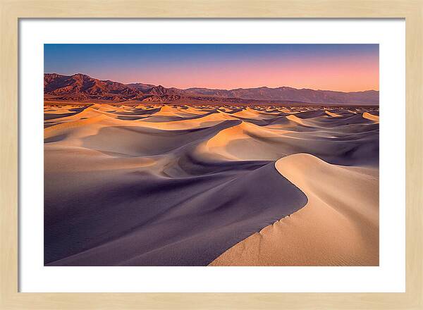 Golden Dawn Over Mesquite Dunes