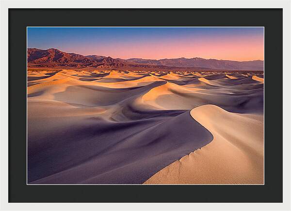 Golden Dawn Over Mesquite Dunes