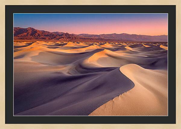 Golden Dawn Over Mesquite Dunes