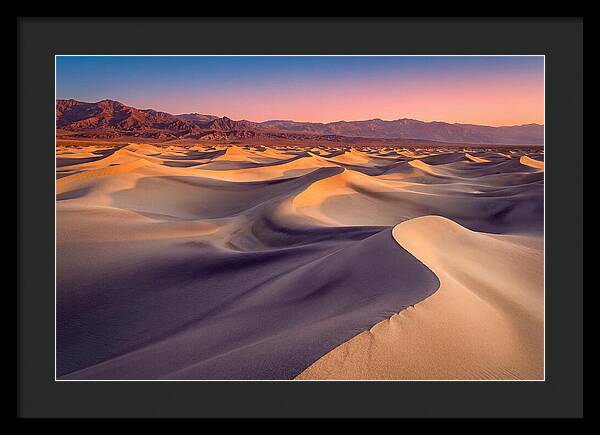 Golden Dawn Over Mesquite Dunes