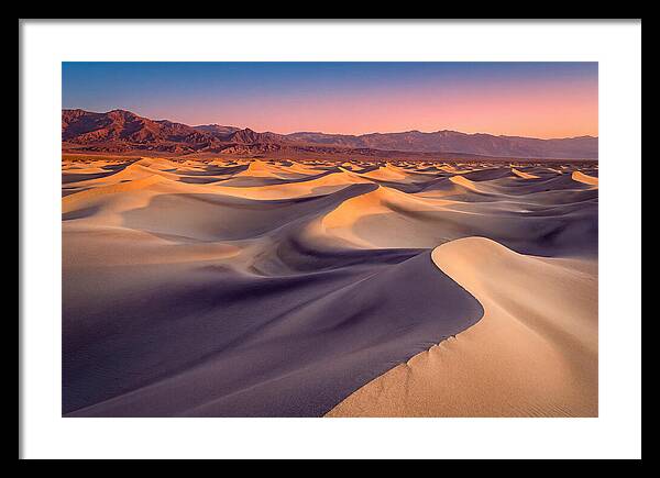 Golden Dawn Over Mesquite Dunes