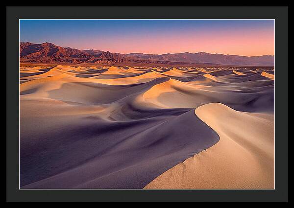 Golden Dawn Over Mesquite Dunes