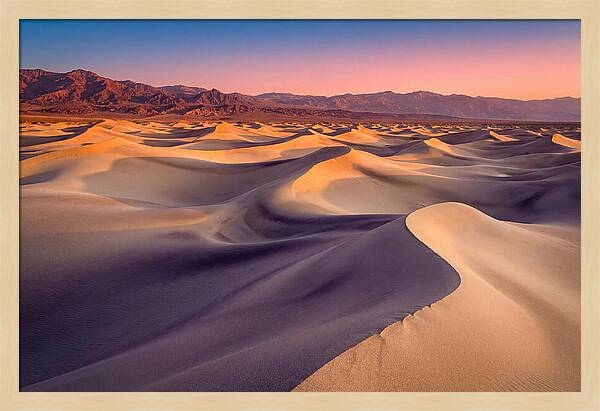 Golden Dawn Over Mesquite Dunes