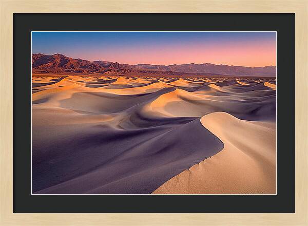 Golden Dawn Over Mesquite Dunes